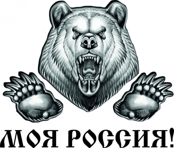 Медведь символ
