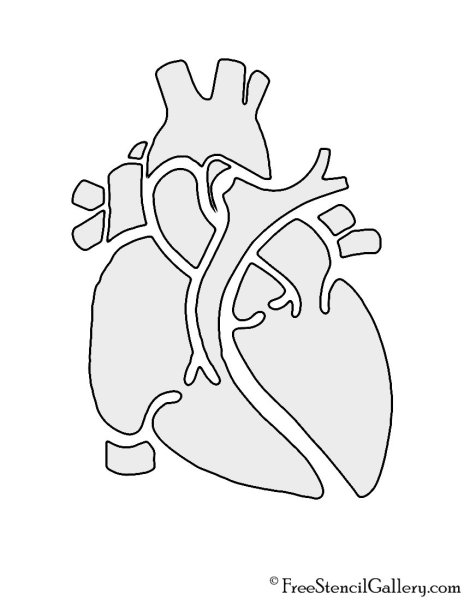 Трафареты сердце анатомия (45 фото)