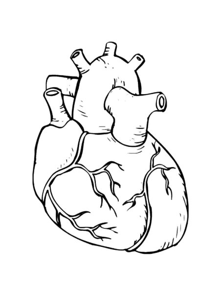 Трафареты сердце орган (44 фото)