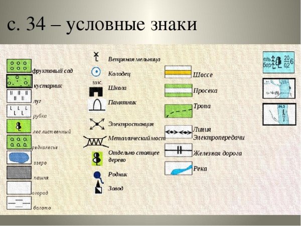 Обозначение смешанного леса на топографической карте