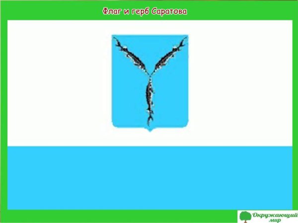 Герб и флаг Саратова