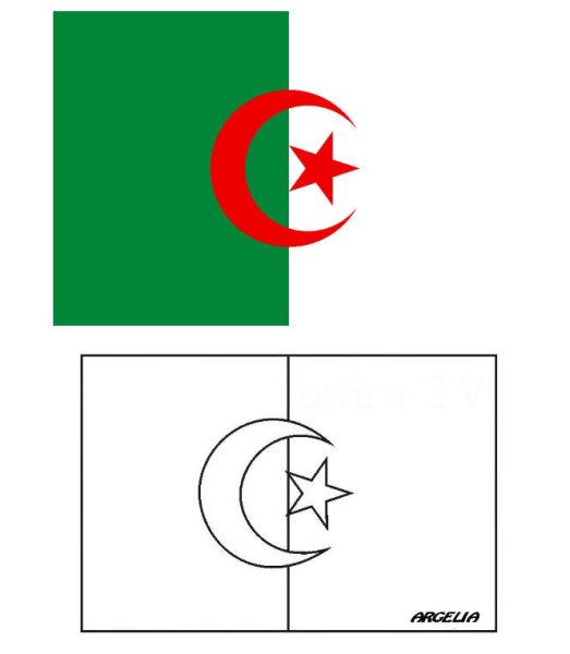 Флаг страны Алжира Котура