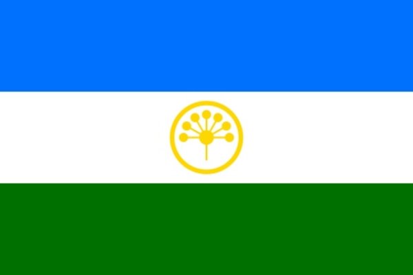 Ольга Асабина флаг Башкирии