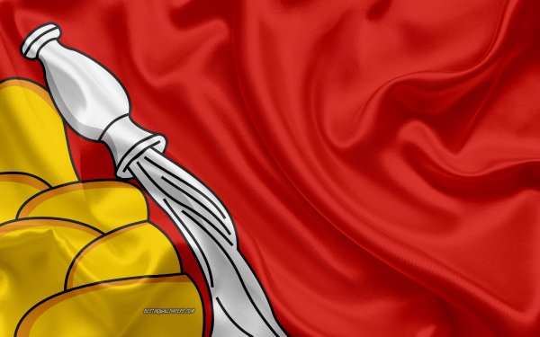 Флаг Воронежской области области