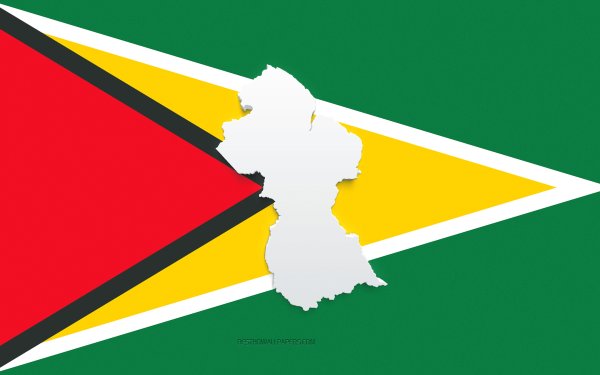 Civic Air Defence of Guyana Flag