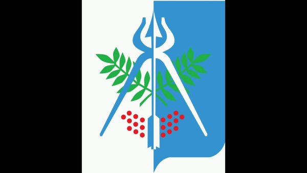 Флаг и герб Ижевска