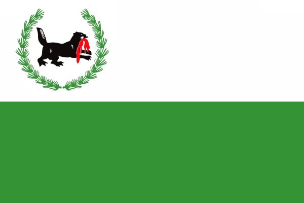 Флаг Иркутска
