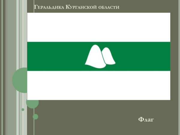 Флаг Курганской области