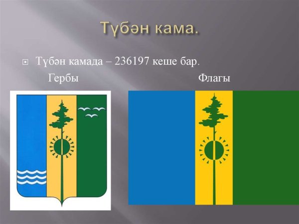 Герб Нижнекамска