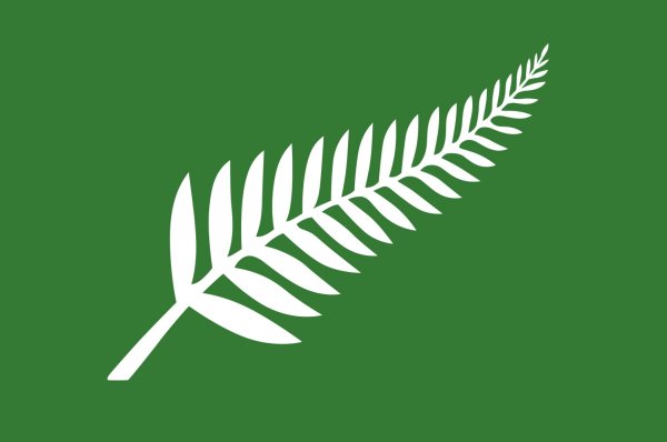 Символ новой Зеландии папоротник
