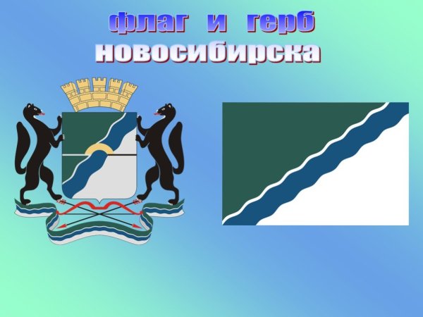 Флаг Новосибирска