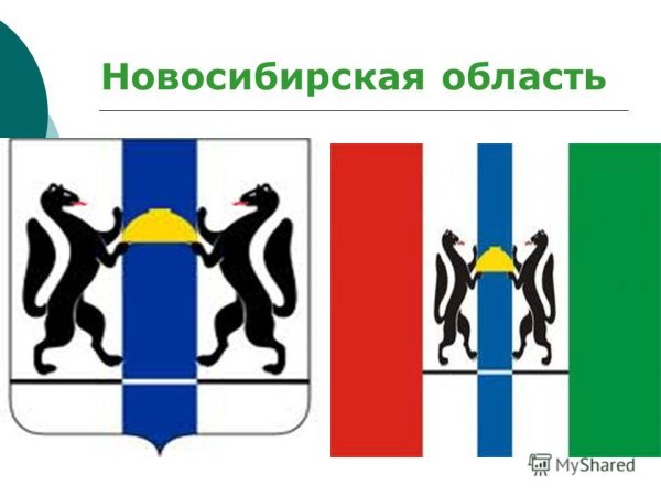 Экономика Новосибирской области
