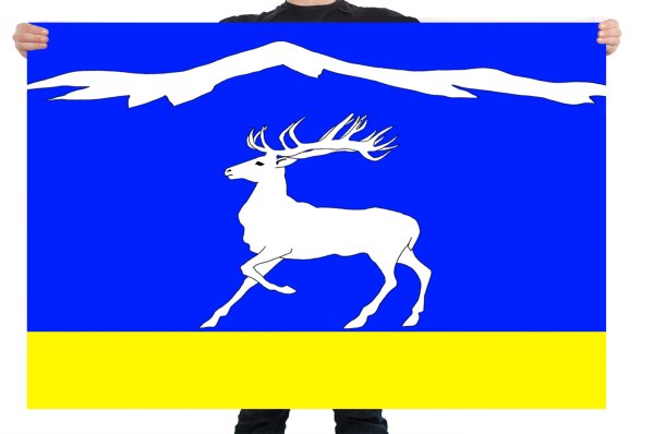 Флаг Тандинского кожууна