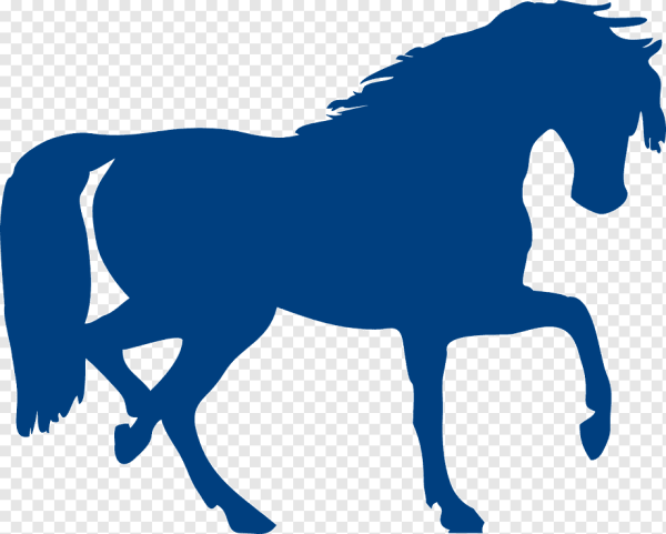 Трафареты флаг россии кони (43 фото)
