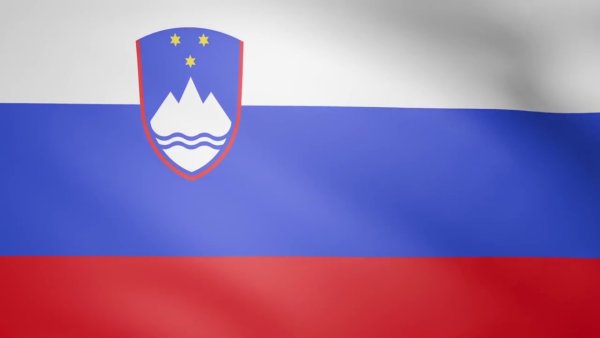 Флаг Словакии и Словении