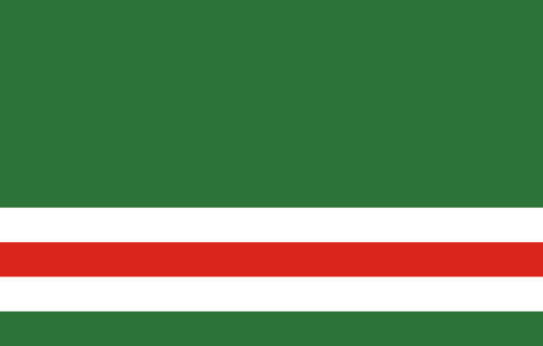 Военный флаг Чечни