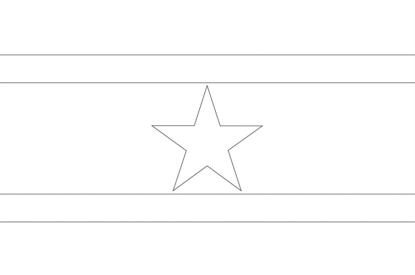 Флаг Суринама раскраска