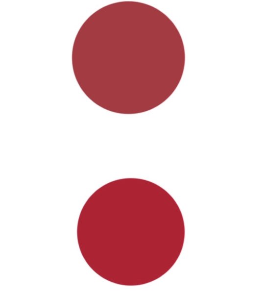 Флаг Японии изменение 1999