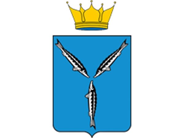Правительство Саратовской области лого