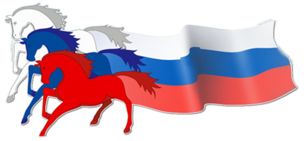 Флаг России лошади