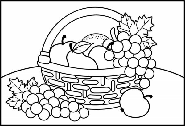 Корзина с фруктами раскраска