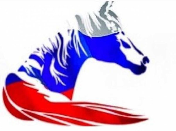 Лошади с российским флагом