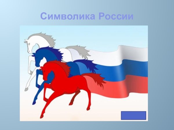 Флаг России лошади