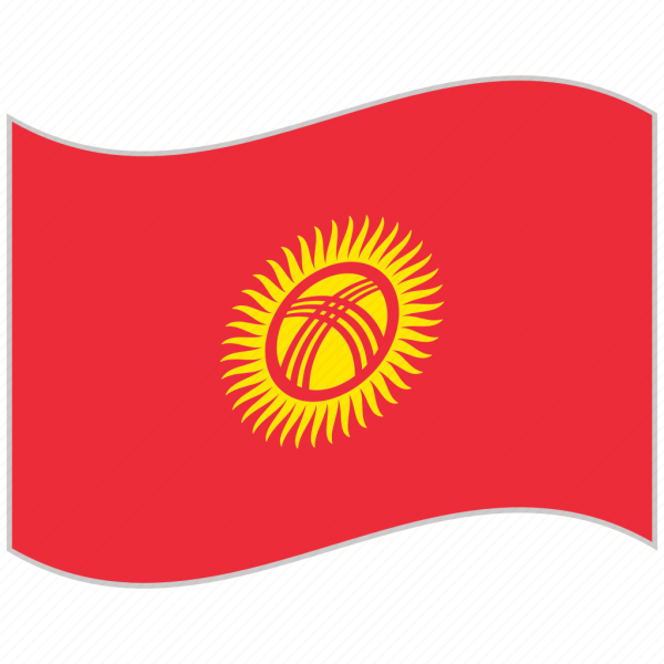 Флаг Киргизии вектор