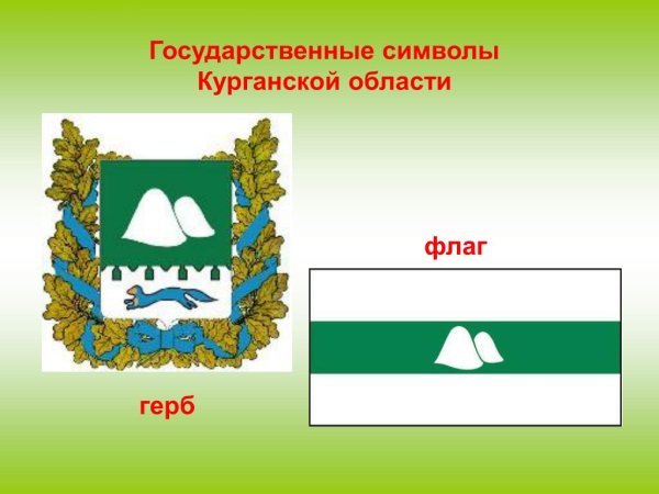 Герб и флаг Курганской области