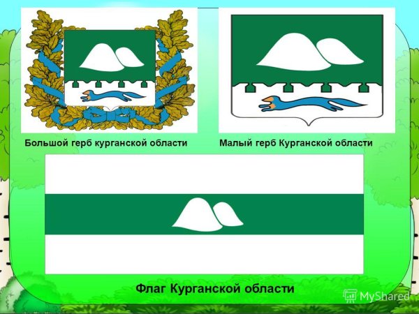 Символы Кургана и Курганской области