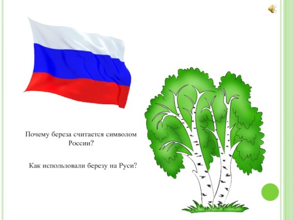 Символ России береза для детей