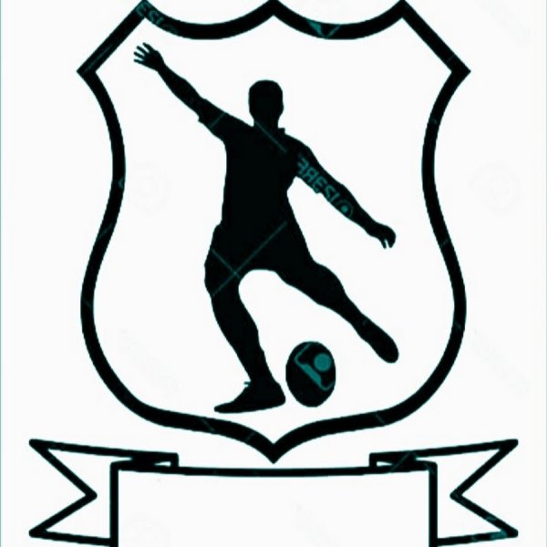 Эмблемы футбольных команд